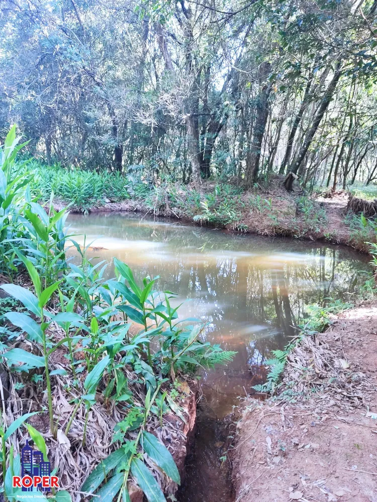 Chácara, 1 quarto, 2 hectares - Foto 7