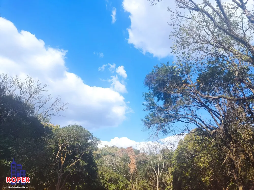 Chácara, 1 quarto, 2 hectares - Foto 6