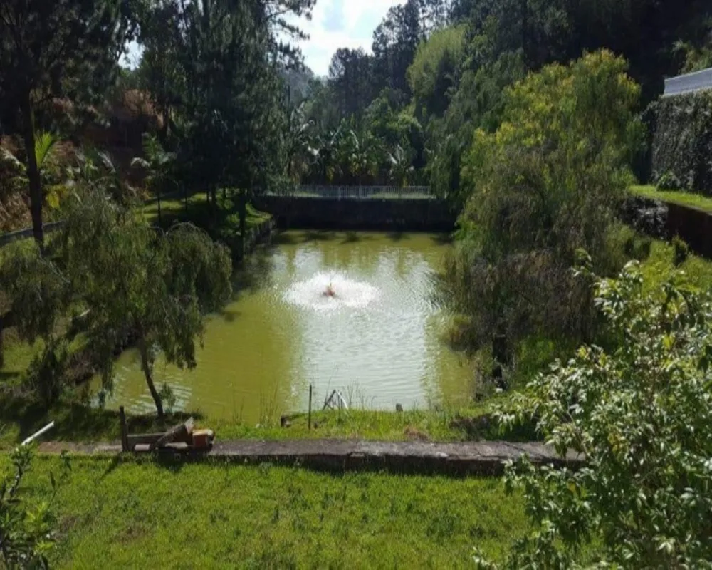 Chácara, 8 quartos, 2 hectares - Foto 10