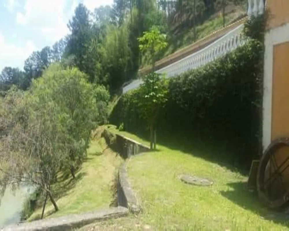 Chácara, 8 quartos, 2 hectares - Foto 14