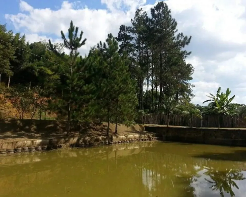 Chácara, 8 quartos, 2 hectares - Foto 16