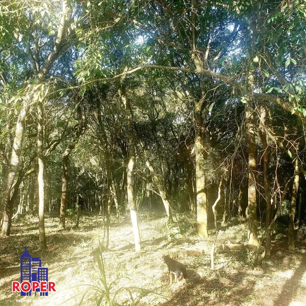 Chácara, 3 quartos, 2 hectares - Foto 8