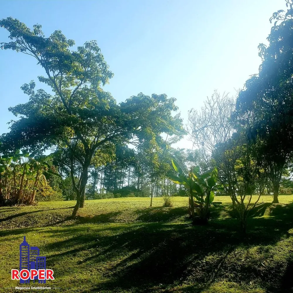 Chácara, 3 quartos, 2 hectares - Foto 10