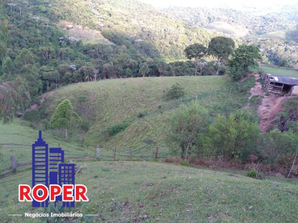 Sítio, 3 quartos, 13 hectares - Foto 2