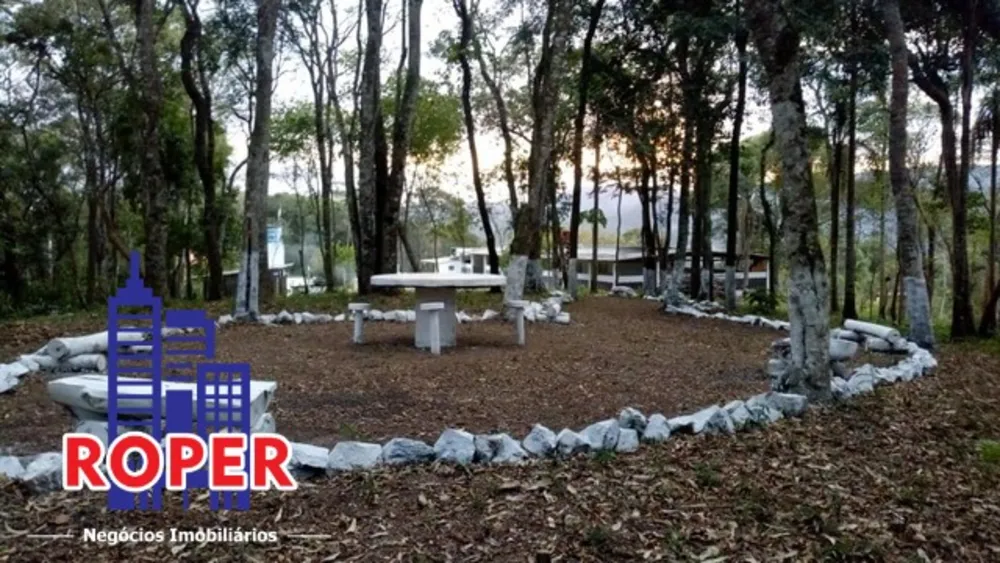 Sítio, 3 quartos, 4 hectares - Foto 14