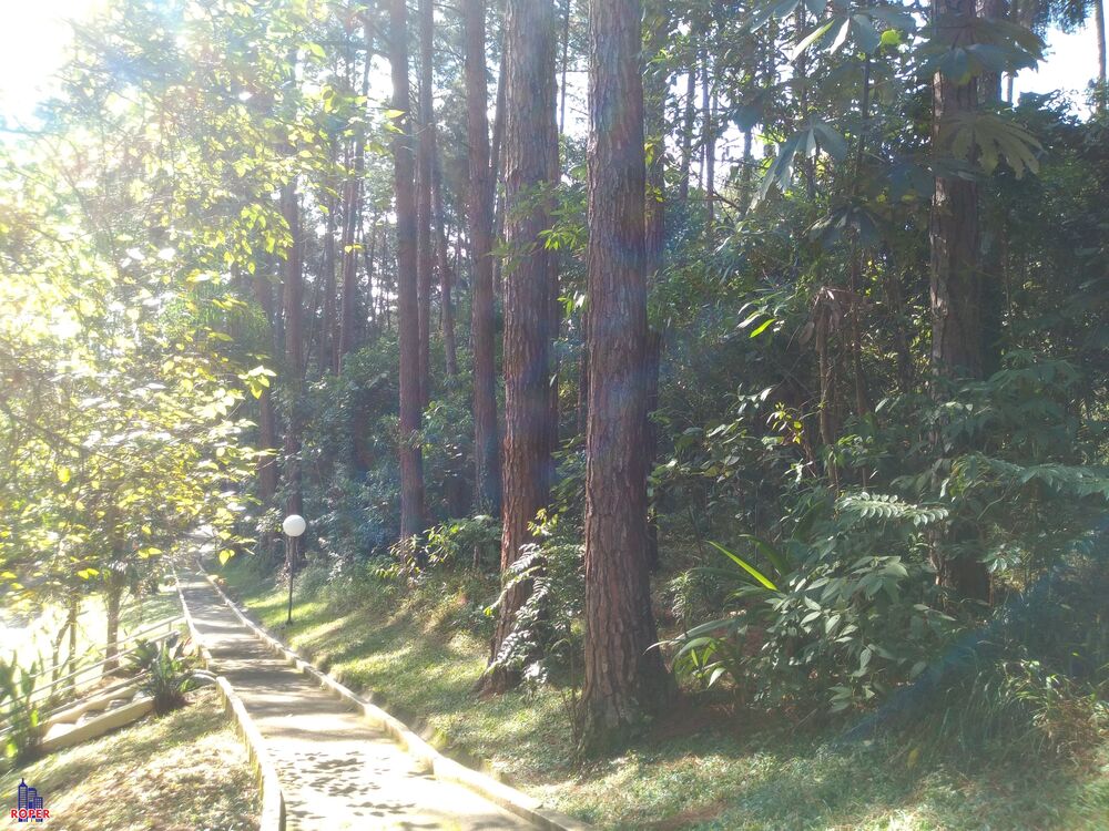 Casa, 3 quartos, 1000 m² - Foto 7