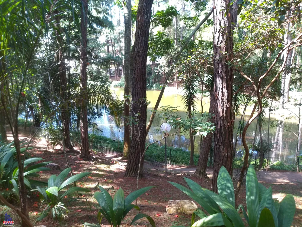 Casa, 3 quartos, 1000 m² - Foto 14