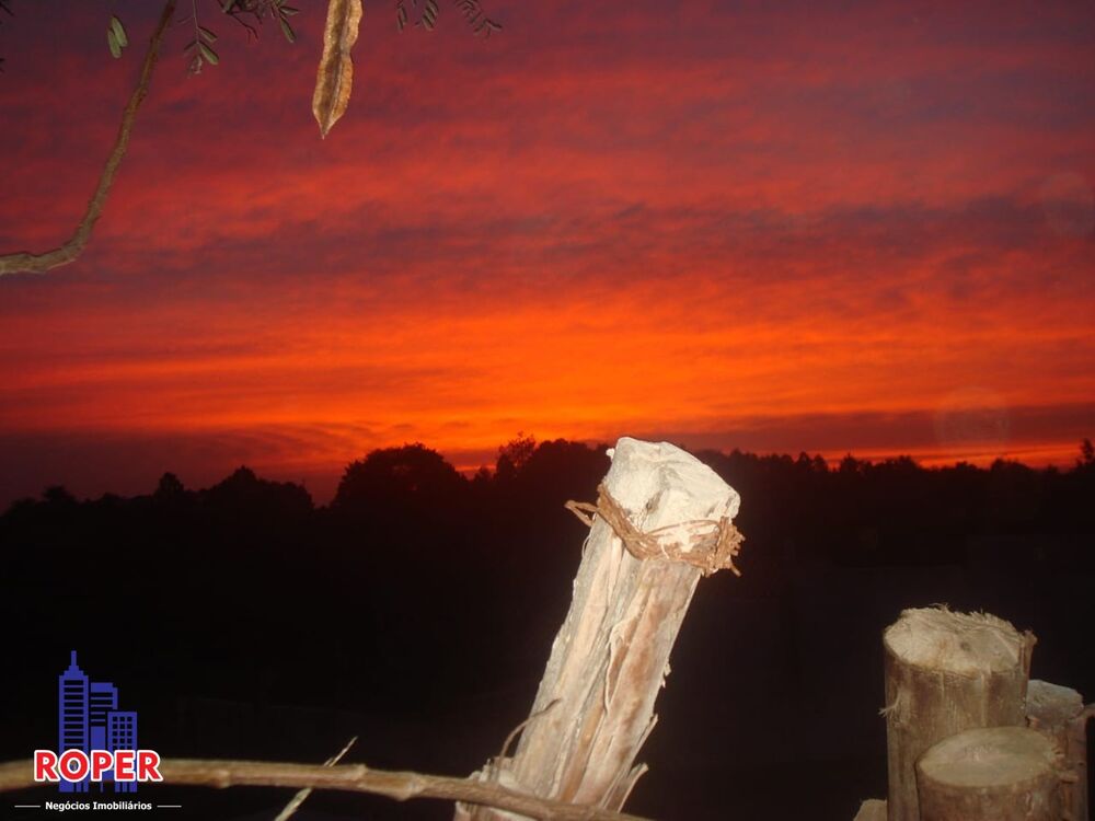 Chácara, 3 quartos, 2788 m² - Foto 3