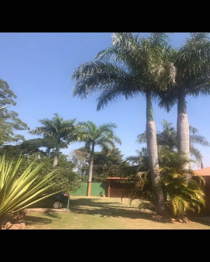 Chácara, 5 quartos, 1000 m² - Foto 5