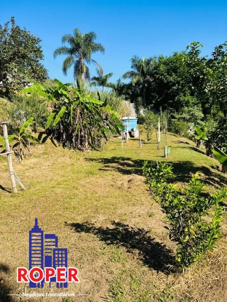 Chácara, 4 quartos, 1 hectares - Foto 8