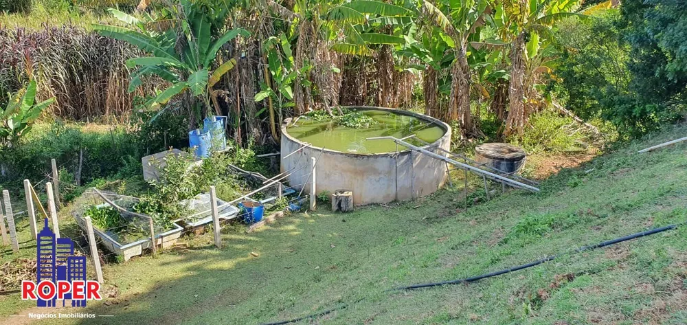 Chácara, 6 quartos, 5053 m² - Foto 20
