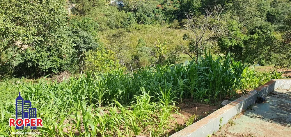 Chácara, 6 quartos, 5053 m² - Foto 15