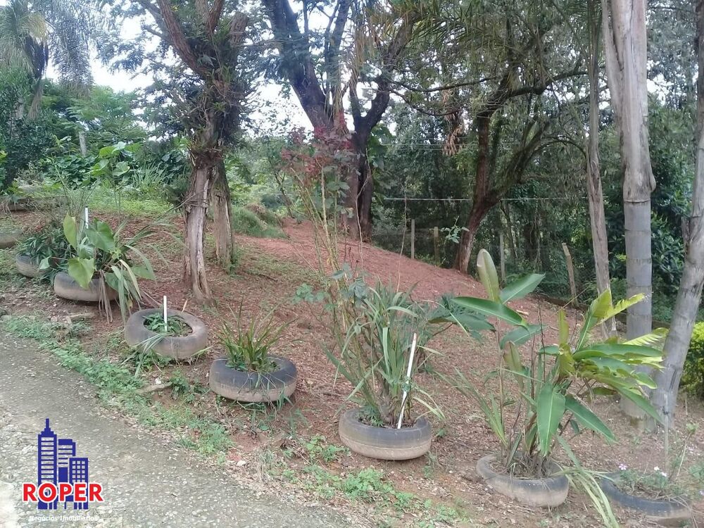 Chácara, 5 quartos, 2000 m² - Foto 3