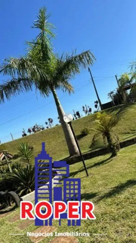 Chácara, 3 quartos, 10000 m² - Foto 10