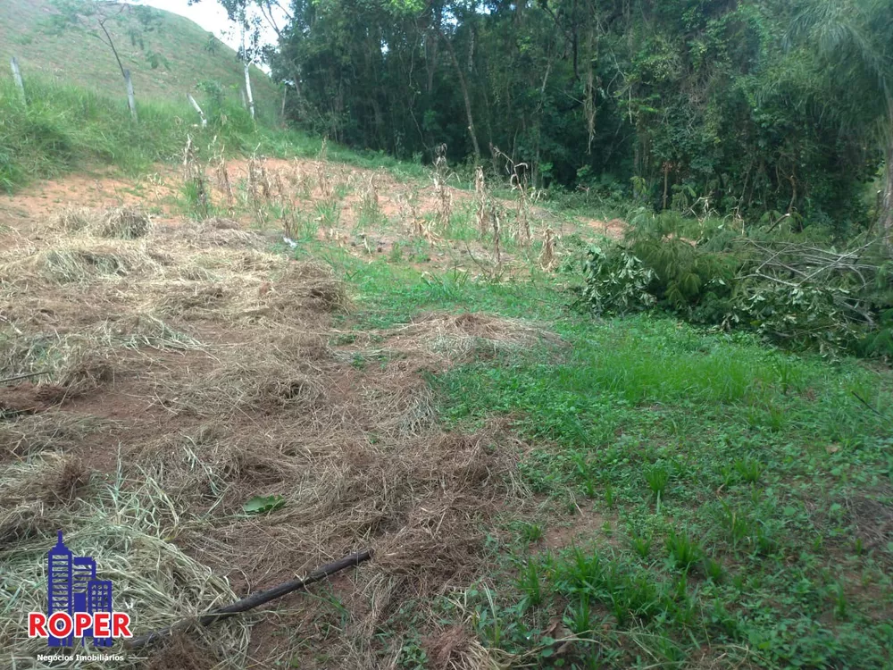 Terreno à venda, 3800m² - Foto 9