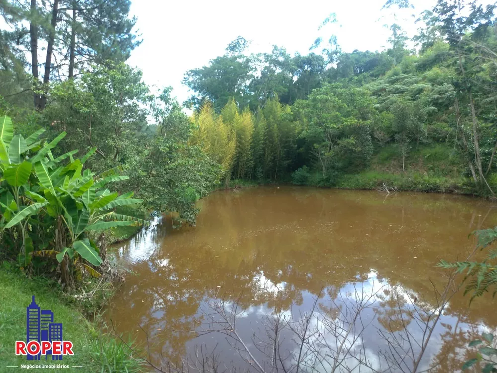 Terreno à venda, 3800m² - Foto 1