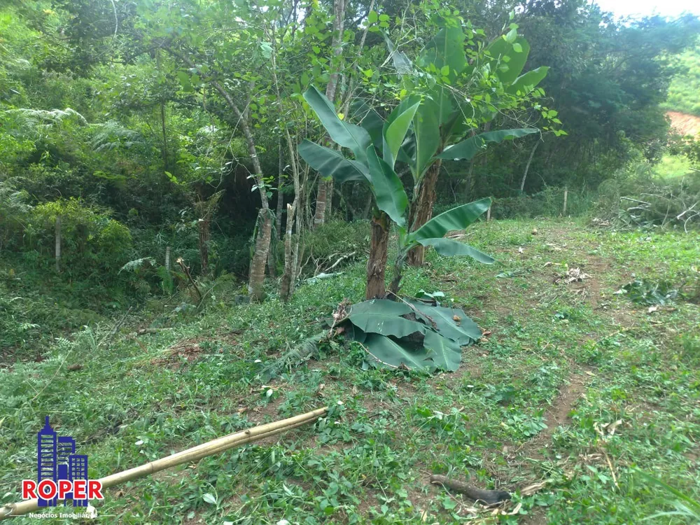 Terreno à venda, 3800m² - Foto 8