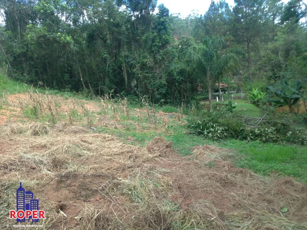 Terreno à venda, 3800m² - Foto 3