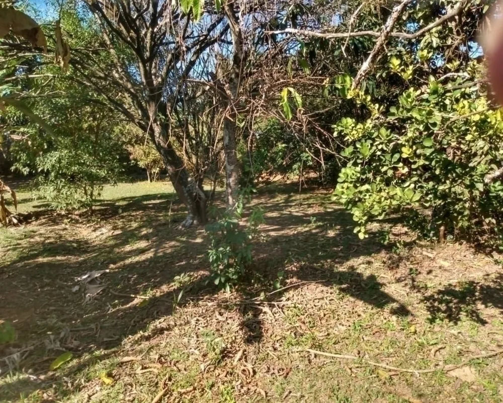 Chácara, 2 quartos, 3000 m² - Foto 11