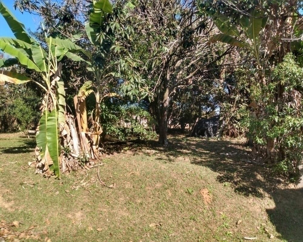 Chácara, 2 quartos, 3000 m² - Foto 4
