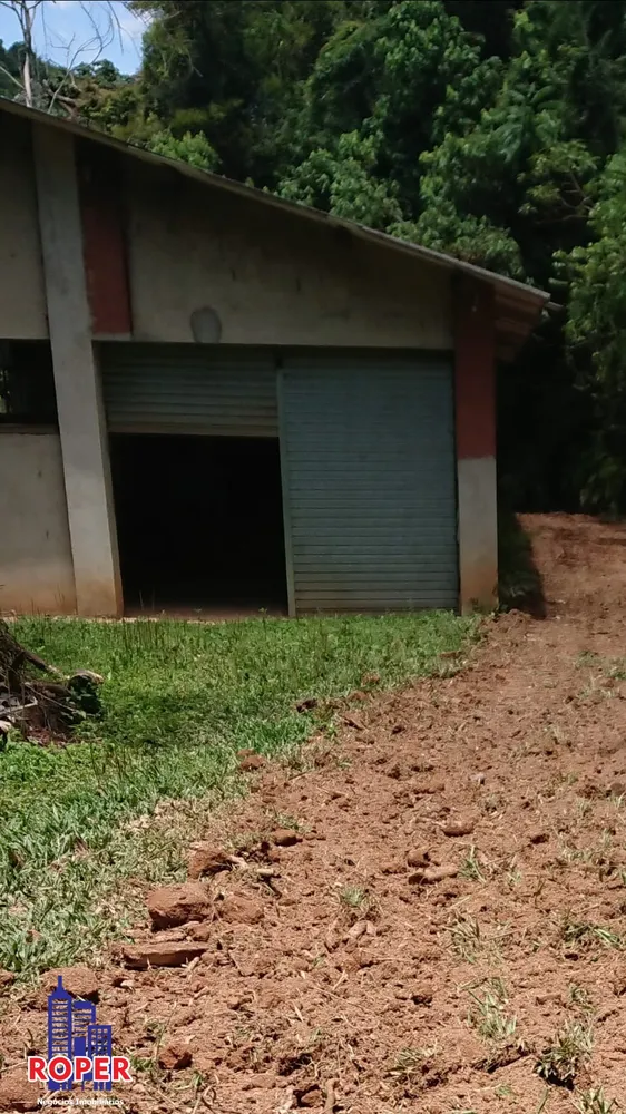 Sítio, 4 quartos, 17 hectares - Foto 13