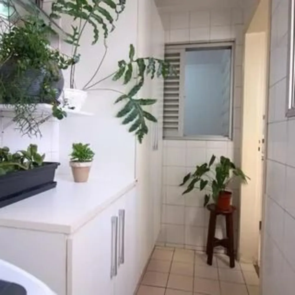 Apartamento, 3 quartos, 76 m² - Foto 6