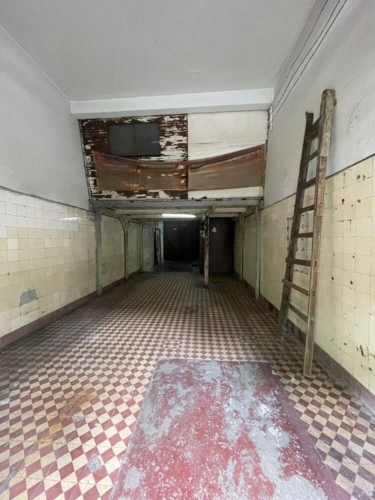 Casa, 4 quartos, 300 m² - Foto 6