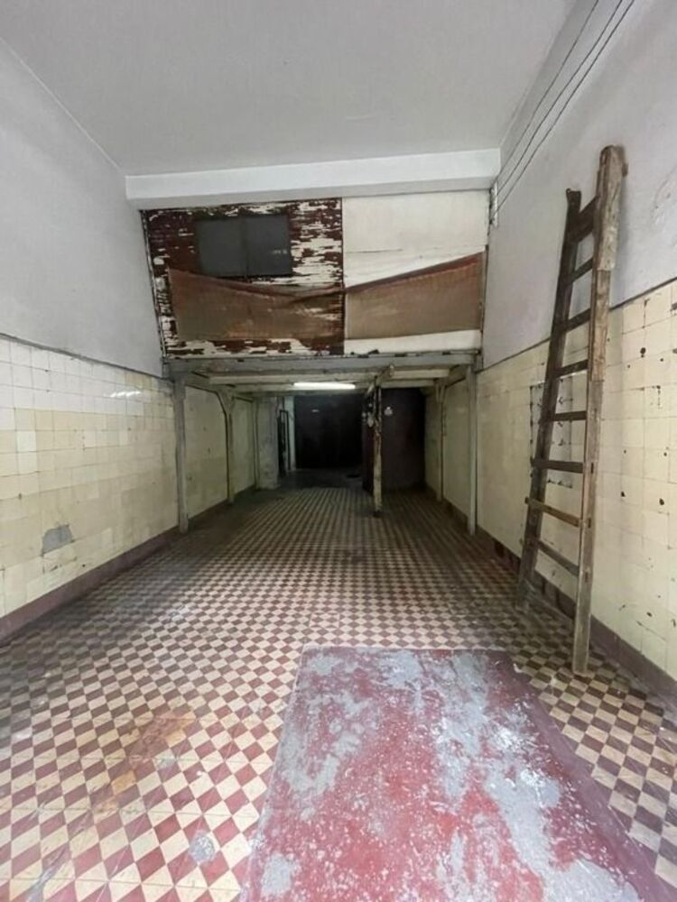 Casa, 4 quartos, 300 m² - Foto 5