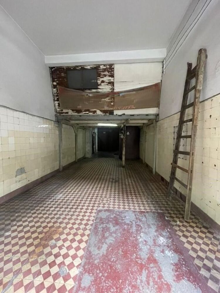 Casa, 4 quartos, 300 m² - Foto 8