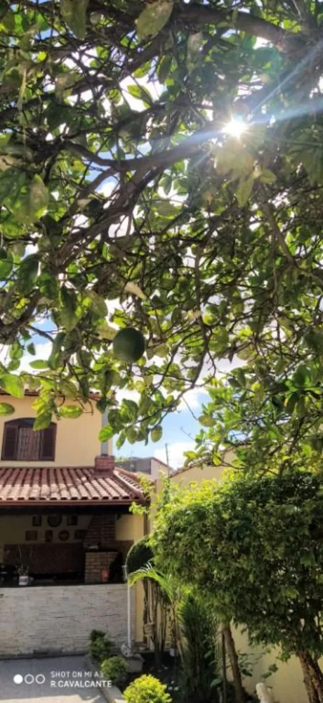 Casa, 4 quartos, 300 m² - Foto 12