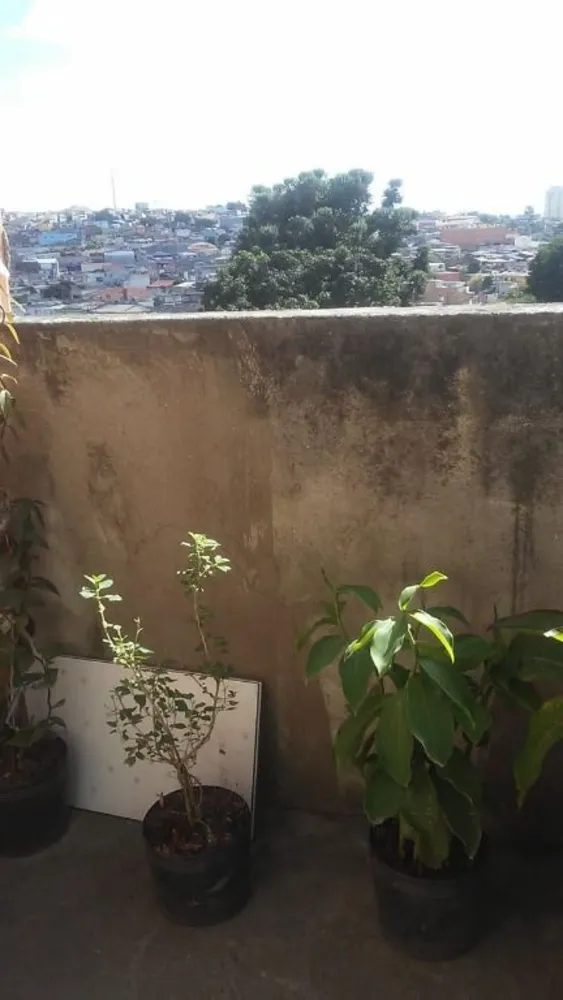 Casa, 3 quartos, 60 m² - Foto 5