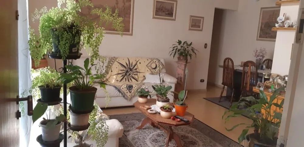 Apartamento, 3 quartos, 90 m² - Foto 1