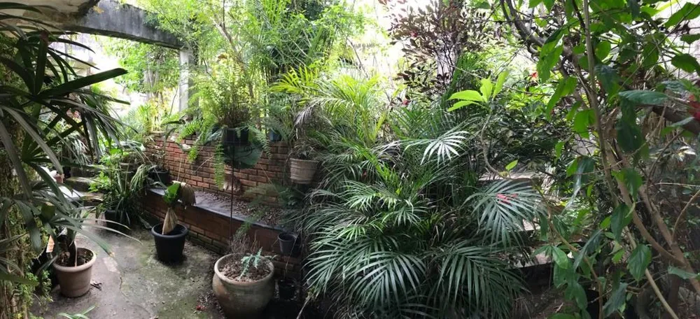 Casa, 5 quartos - Foto 7