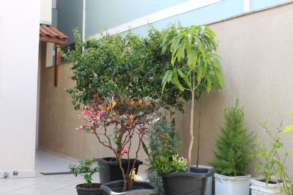 Casa, 3 quartos, 150 m² - Foto 20