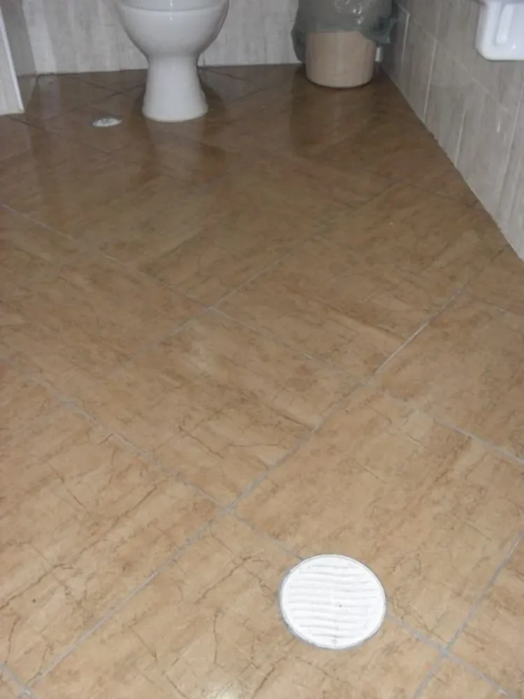 Loja-Salão, 336 m² - Foto 4