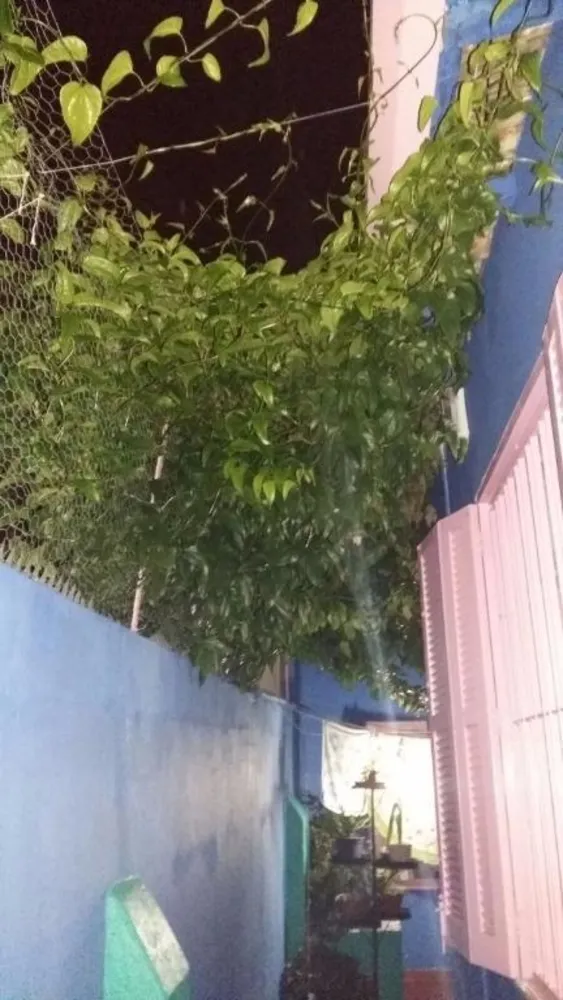 Casa, 3 quartos, 94 m² - Foto 14