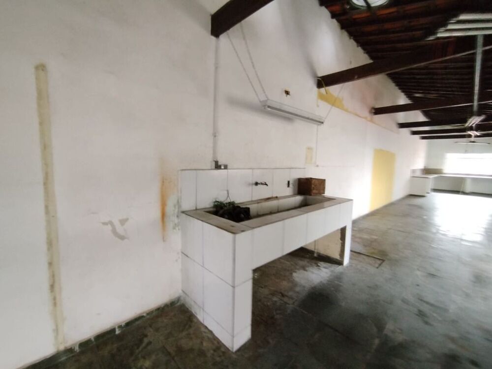Casa, 5 quartos, 350 m² - Foto 7