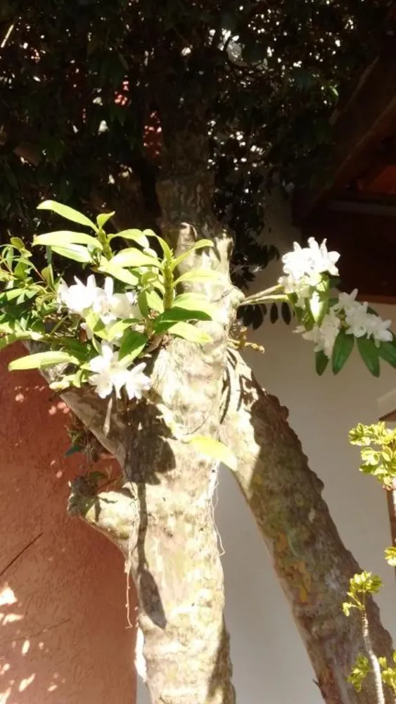 Casa, 3 quartos, 177 m² - Foto 13
