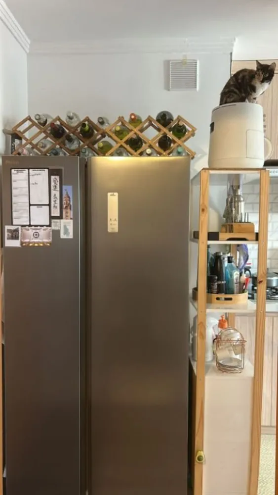 Apartamento, 1 quarto, 24 m² - Foto 10