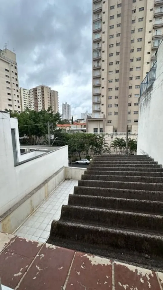 Casa, 3 quartos, 220 m² - Foto 6