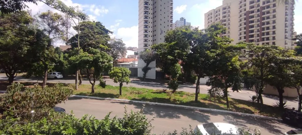 Casa, 4 quartos, 360 m² - Foto 6