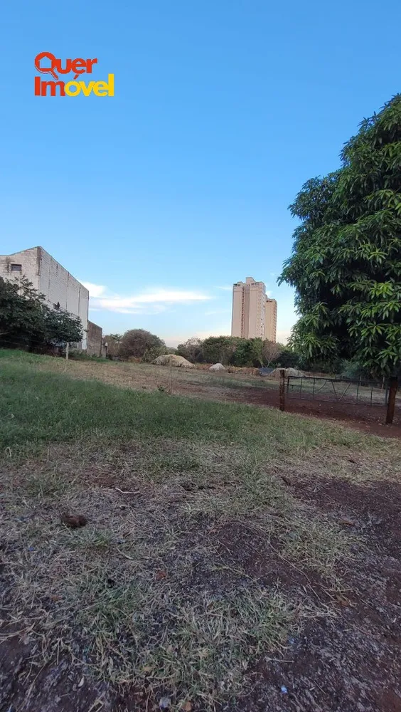 Imóvel Comercial - Foto 5