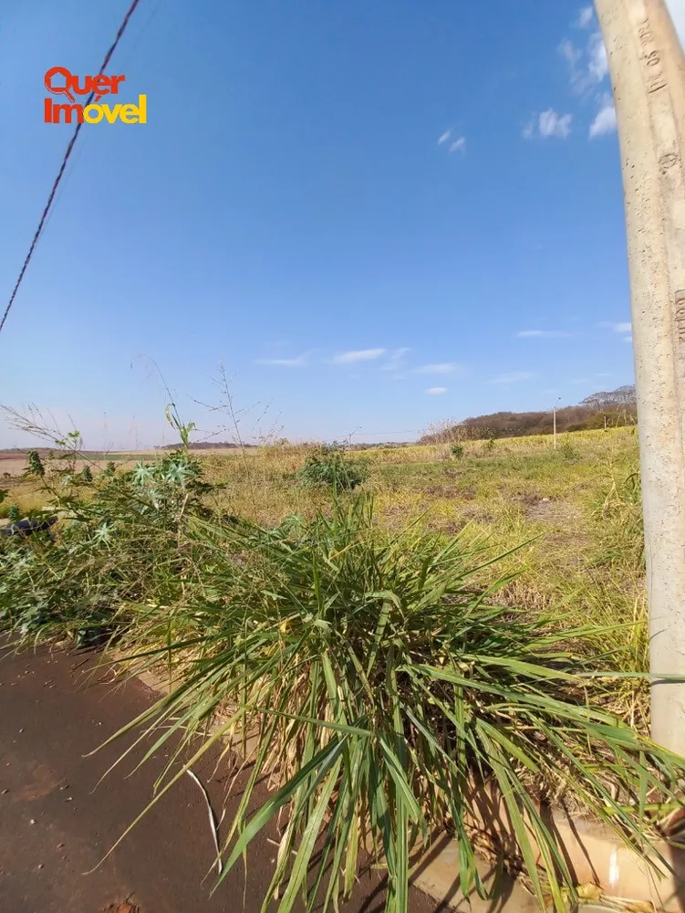Terreno, 256 m² - Foto 7
