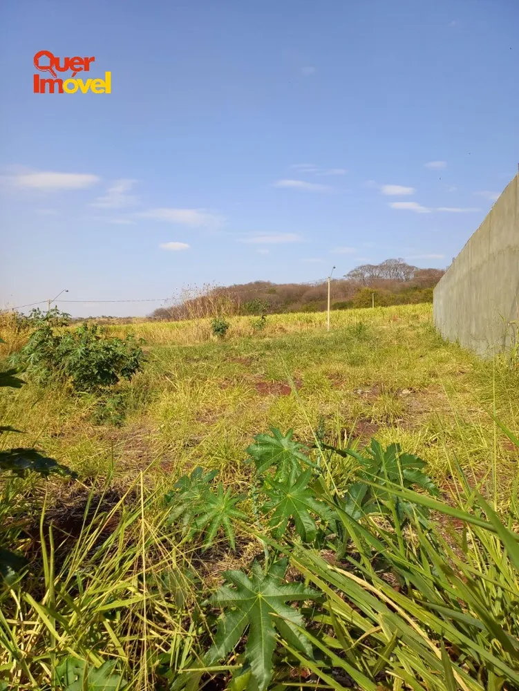 Terreno, 256 m² - Foto 6