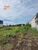 Terreno, 1320 m² - Foto 2
