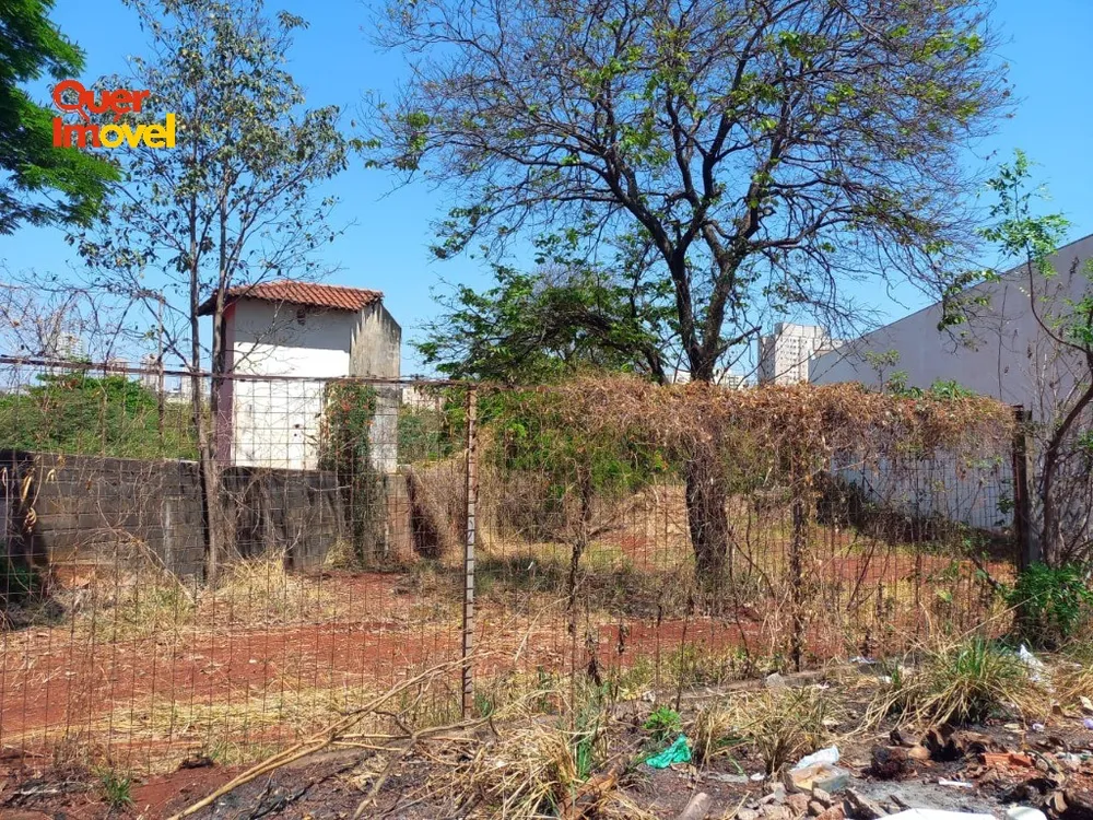 Terreno, 8000 m² - Foto 2