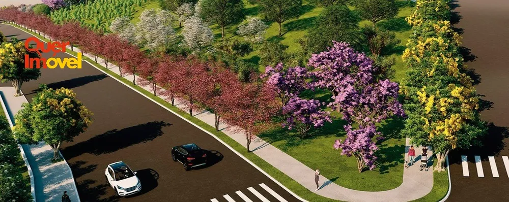 Terreno, 250 m² - Foto 1