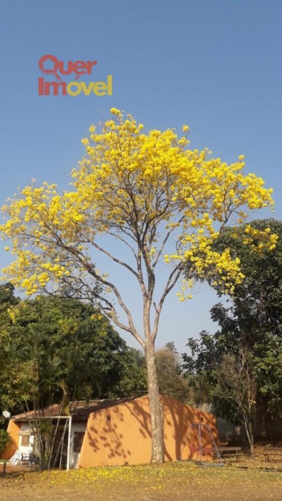 Chácara, 1 quarto, 5600 m² - Foto 4