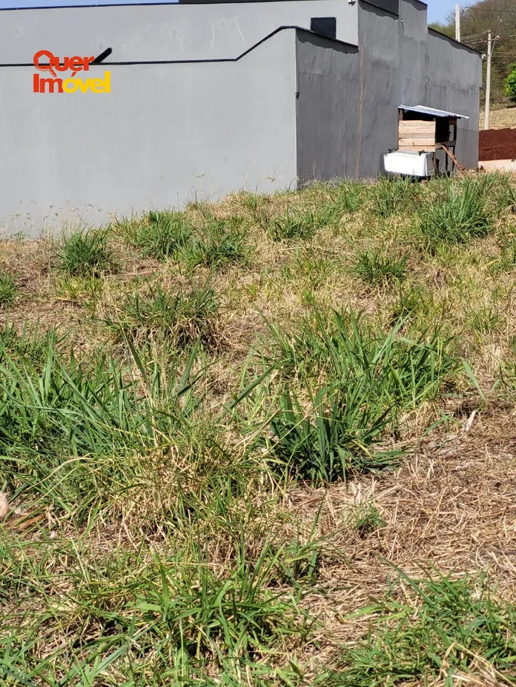 Terreno, 254 m² - Foto 5