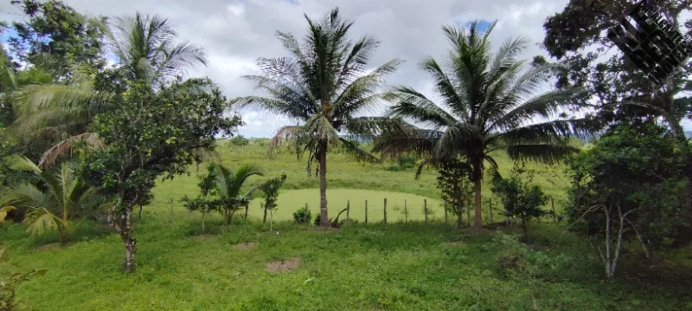 Fazenda, 465 hectares - Foto 2